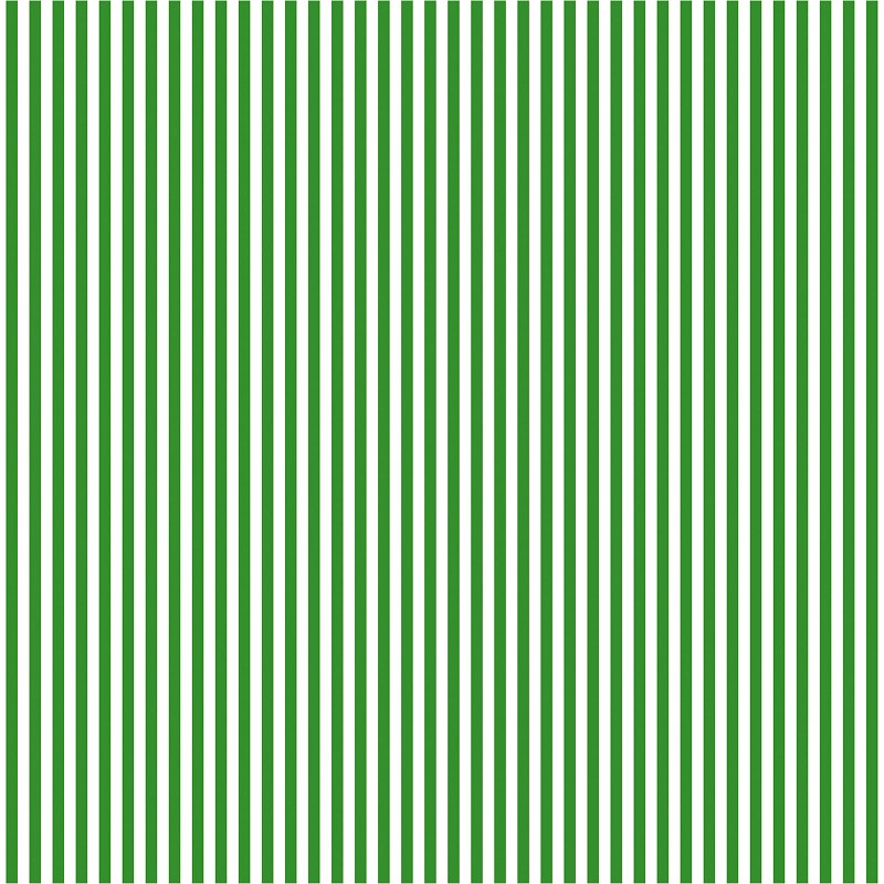 Geschenkpapier „Stripes“ Hellgrün, 200mx50cm , Kraftpapier