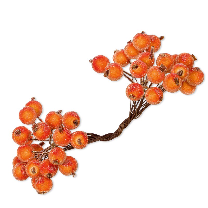 Beeren am Draht „Orange Frost“ 40 St./Bund, 12x1,2cm