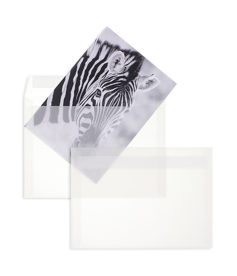Transparente Briefumschläge weiß Transparent-weiß~ DIN C5 100g/qm Offset o. Fenster Haftklebung gerade Klappe 100 Stk.