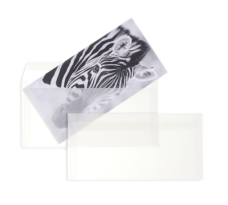 Transparente Briefumschläge weiß Transparent-weiß~ DIN C6/5 90g/qm Offset o. Fenster Haftklebung gerade Klappe 100 Stk.