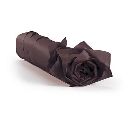 Packseide / Seidenpapier, schokolade, 50x75cm, 18g/m², ca. 480 Blatt