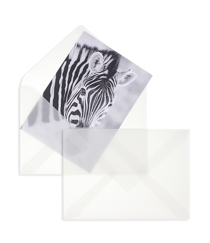 Transparente Briefumschläge weiß Transparent-weiß~ DIN C5 90g/qm Offset o. Fenster Nassklebung spitze Klappe 100 Stk.